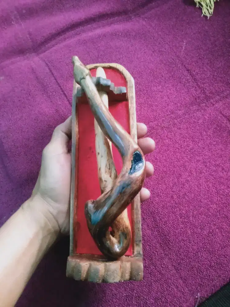 Jual akar kurung mimang untuk pajangan
