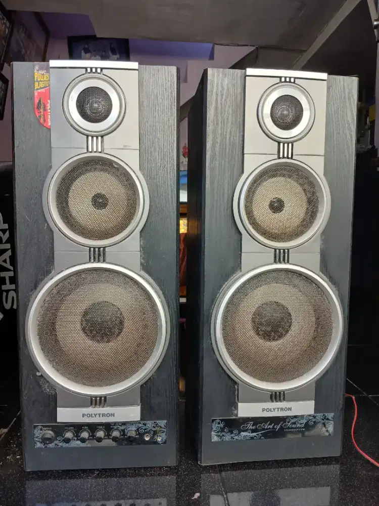 Speaker aktif Polyton PS 15