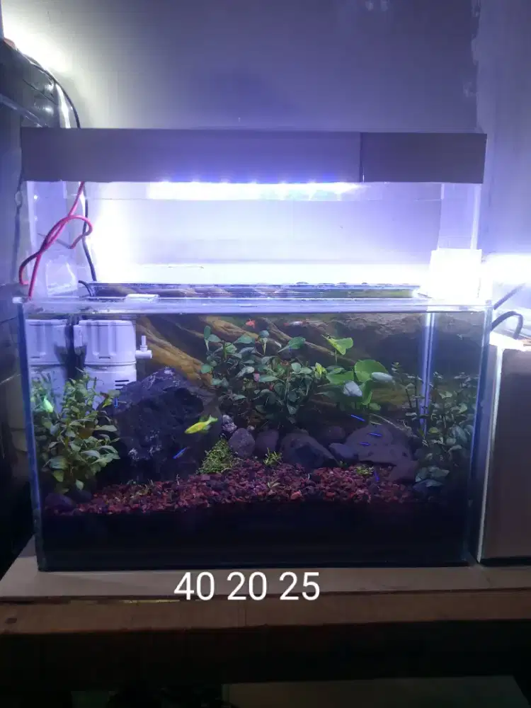 Tank 40 20 25 ful set tinggal Colok dan isi ikan