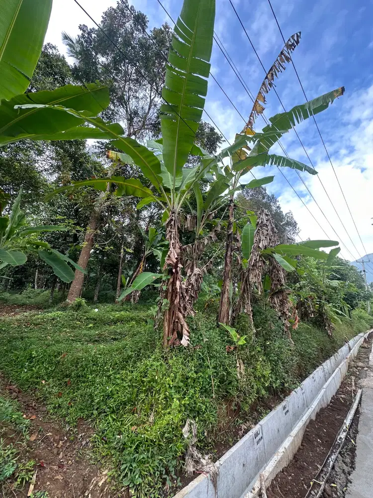 Tanah dijual tanpa perantara