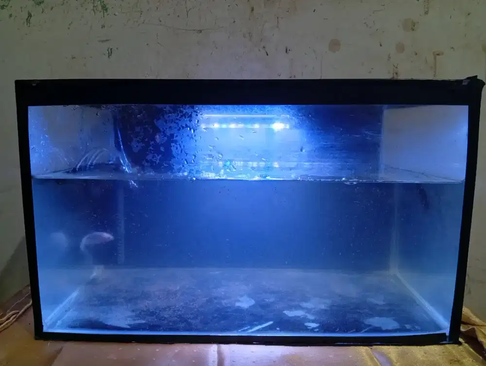 Aquarium Ikan Hias
