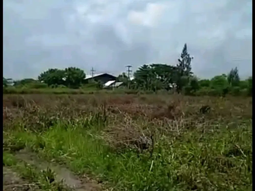 Dijual Tanah Jalan Nasional Mrutuk Utara Widang Tuban  Kabupaten Tuban