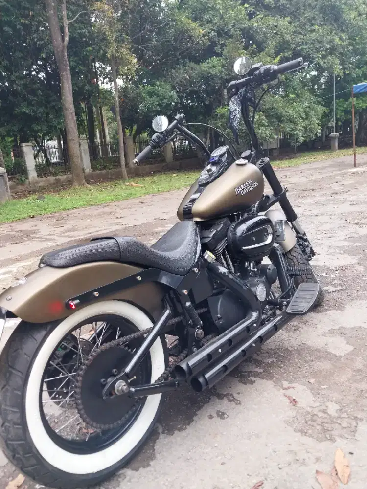 HARLEY DAVIDSON Sportster 883 Custom Softail.