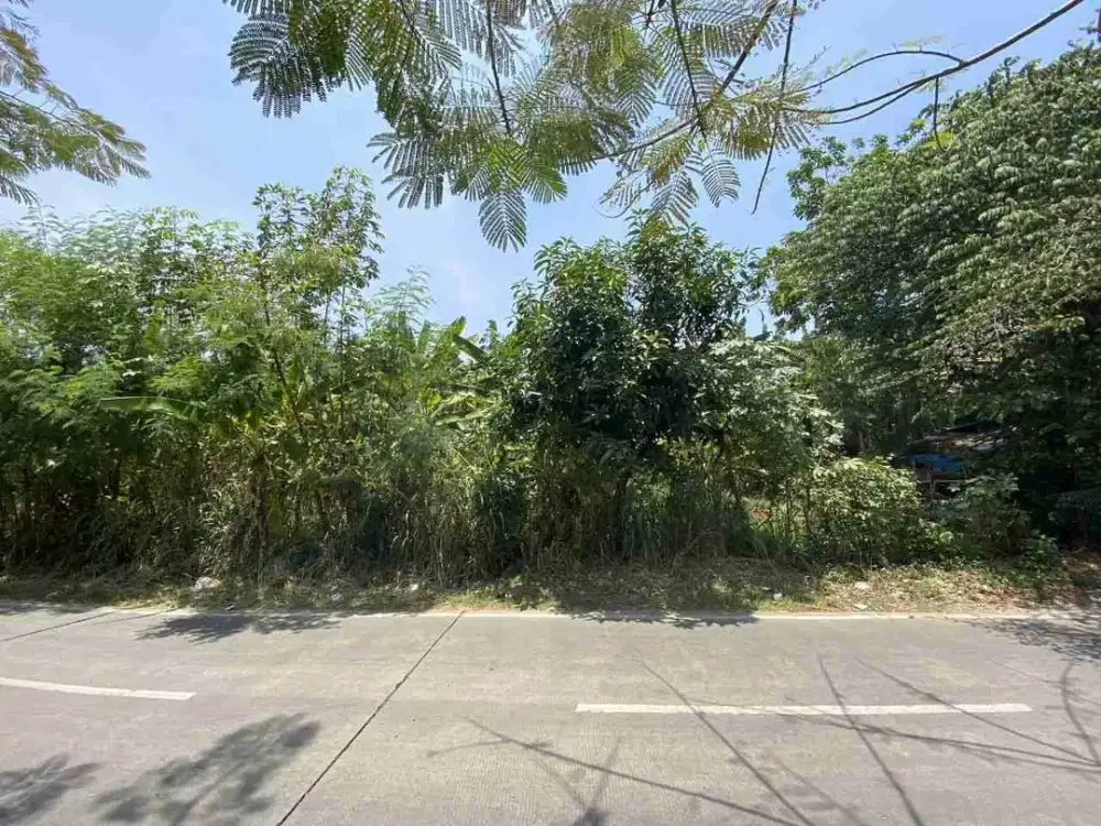 Dijual tanah perkavilng lt 240 dimerapi ciputar serua