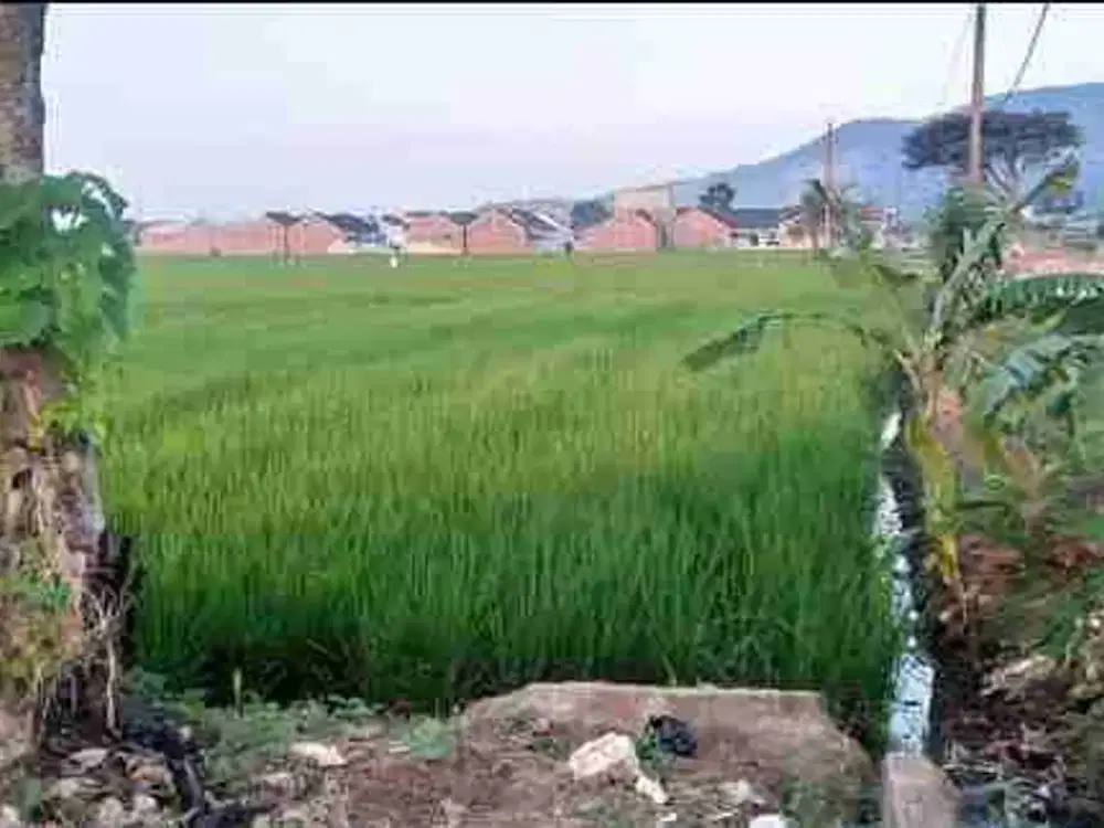 Dijual Tanah Sawah di Kecamatan Pameungpeuk Kabupaten Bandung