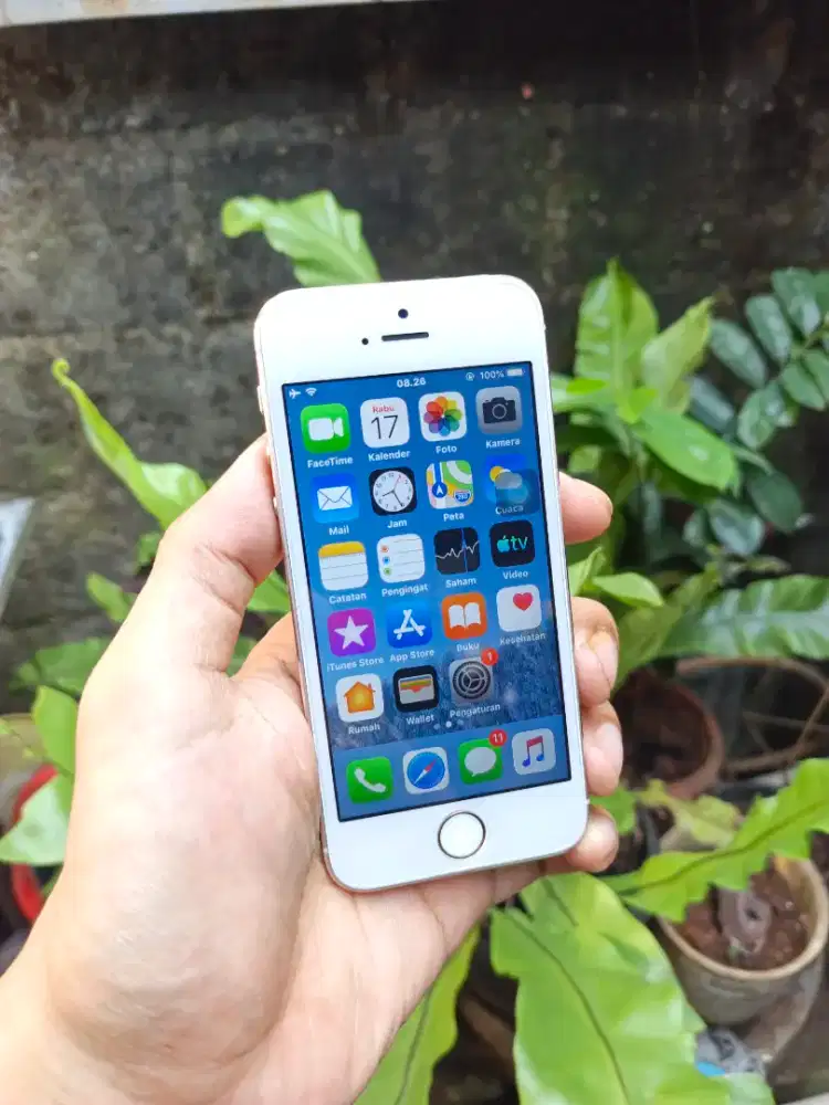 iPhone 5s gold mulus allop