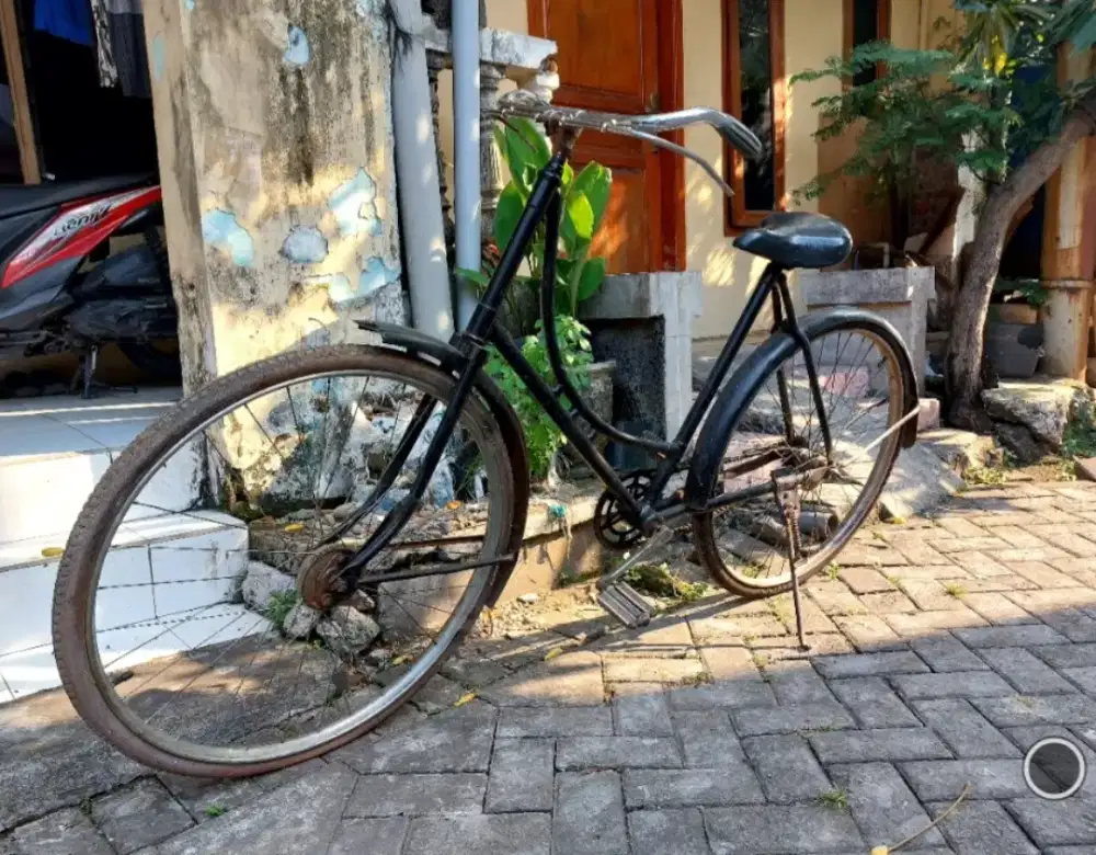Sepeda kebo kuno