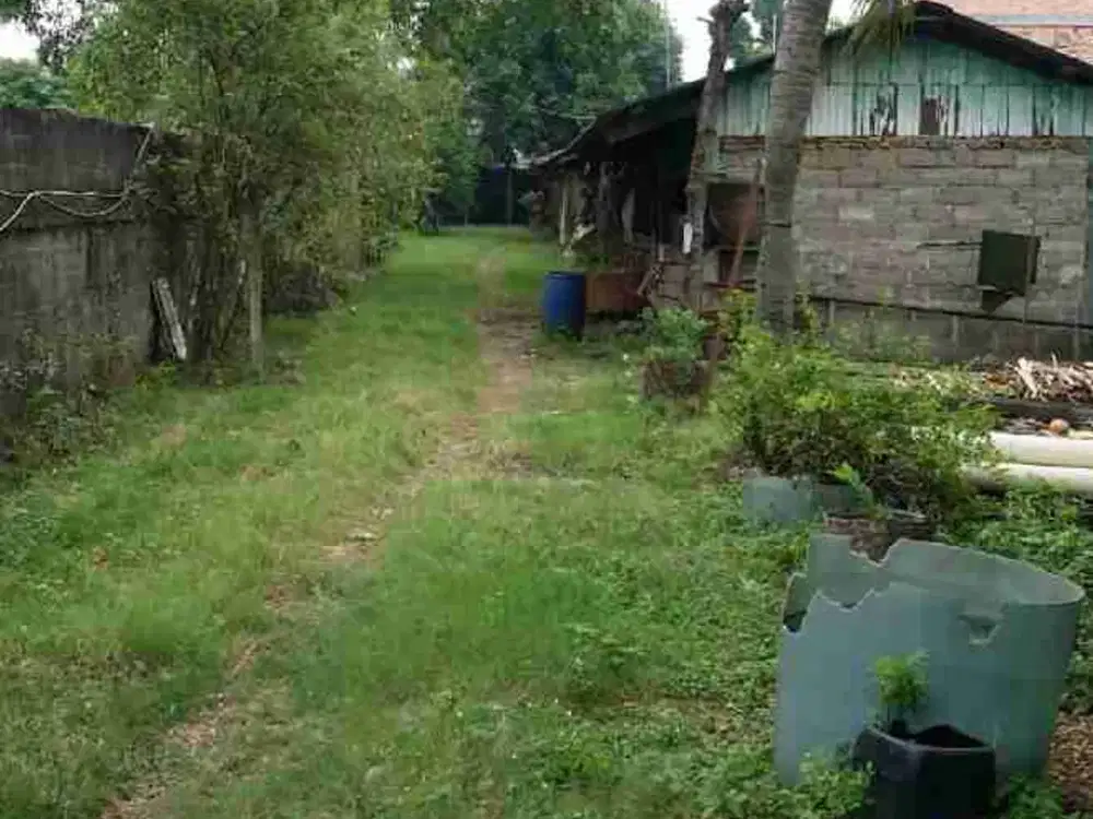 dijual tanah di jalan raya kapuk Kamal muara