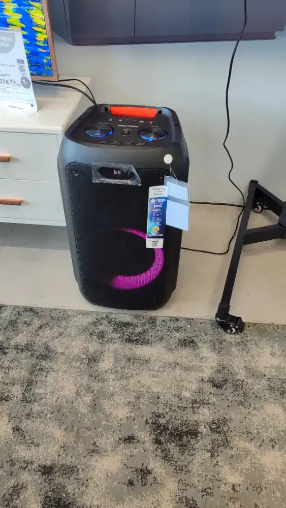 Polytron speaker