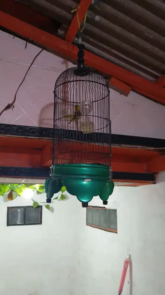 Burung  berserta sangkarnya