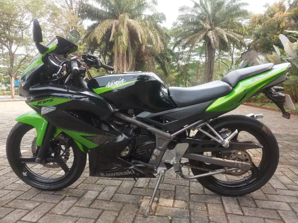 Ninja rr 2014 original
