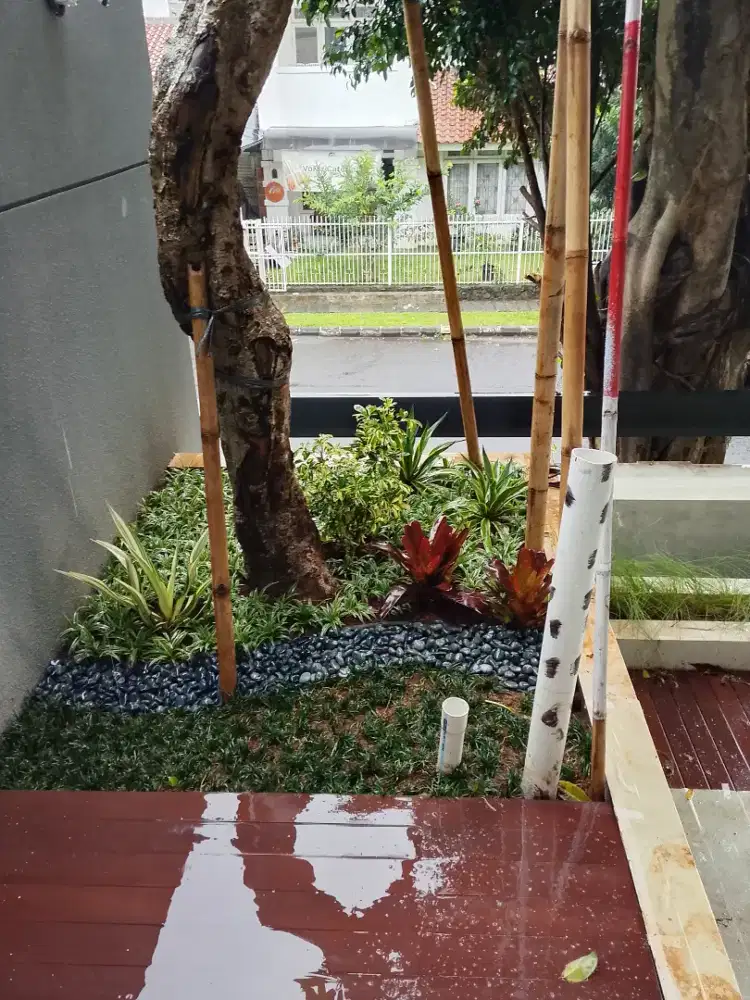 Taman rumput depan rumah