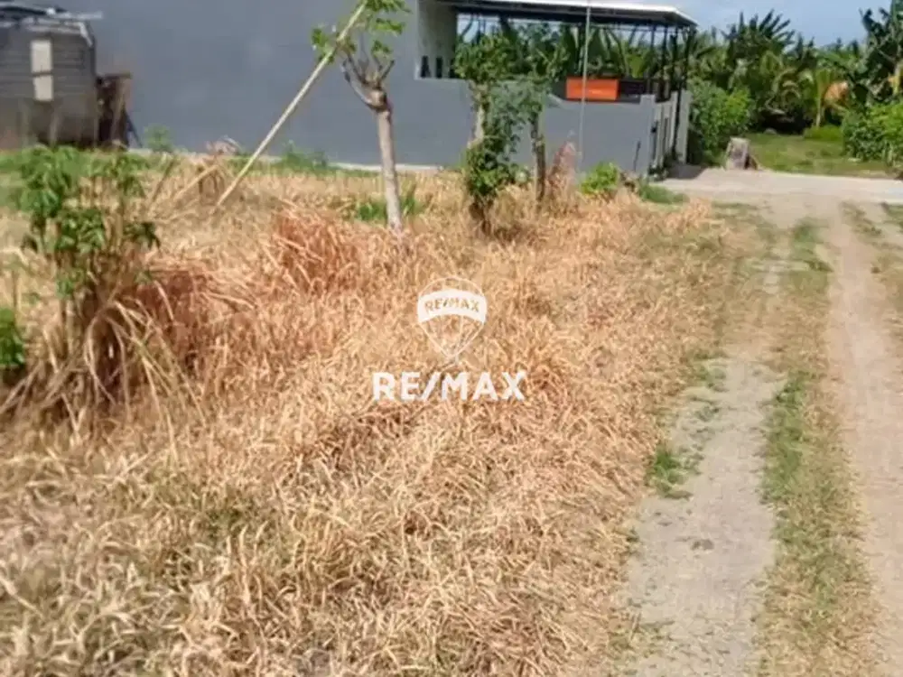 DIJUAL KAVLING SIAP BANGUN – REJOSARI, GLAGAH BANYUWANGI
