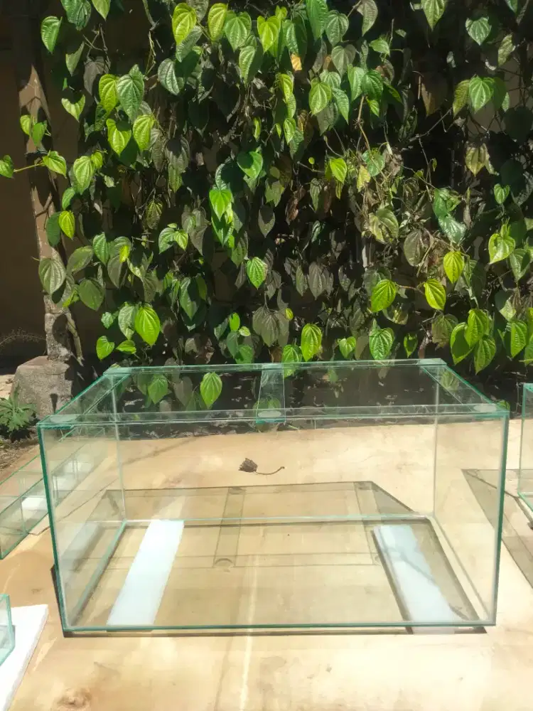 Aquarium 80x40x40 full sabuk