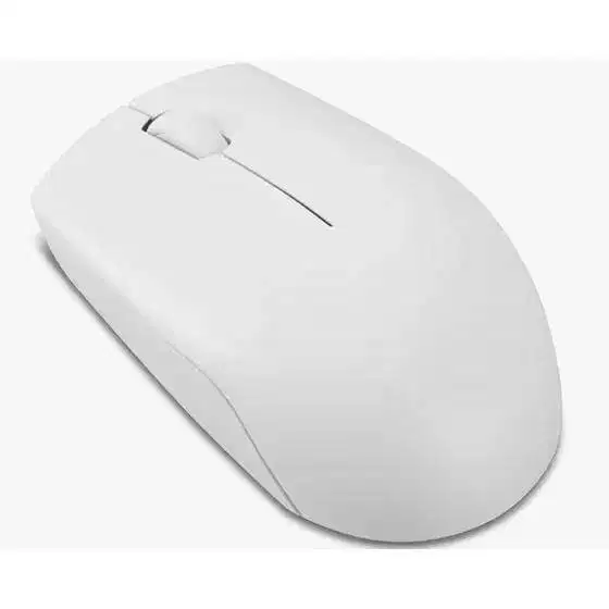 LENOVO 300 WIRELESS COMPACT MOUSE