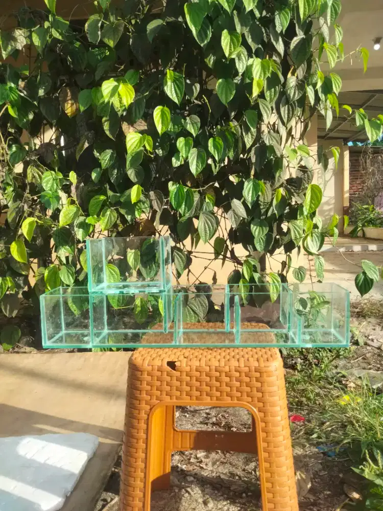 Filter talang kaca 60cm