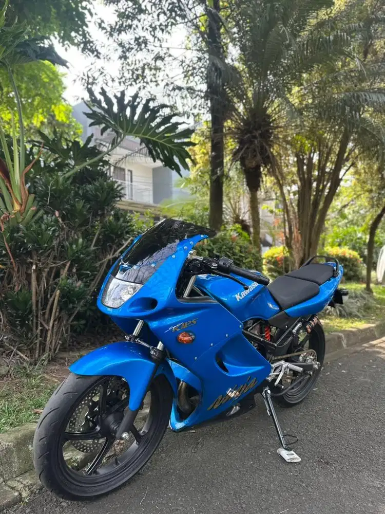 Ninja rr cbu biru