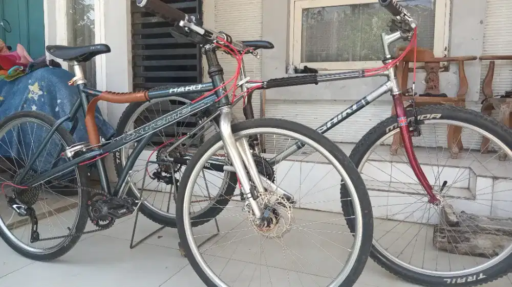 Haro extreme+nishiki mode