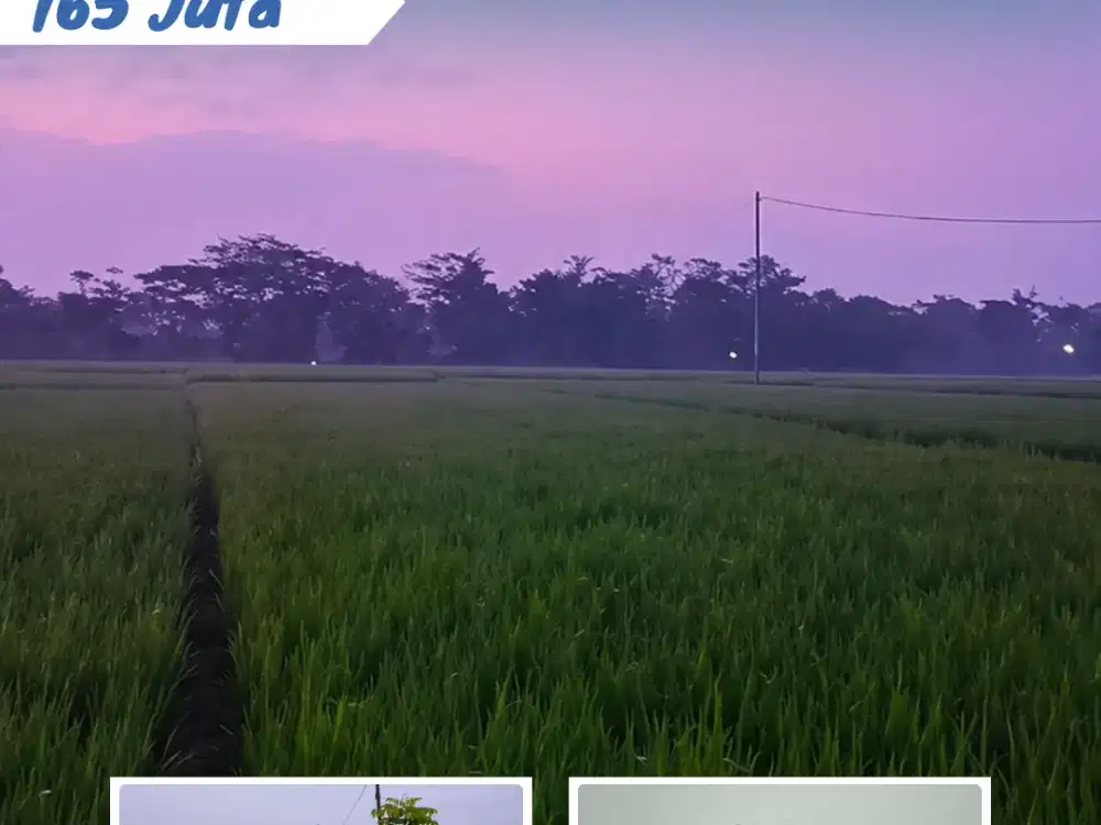 Dijual Sawah di Alastuwo, Kebakkramat, Kra