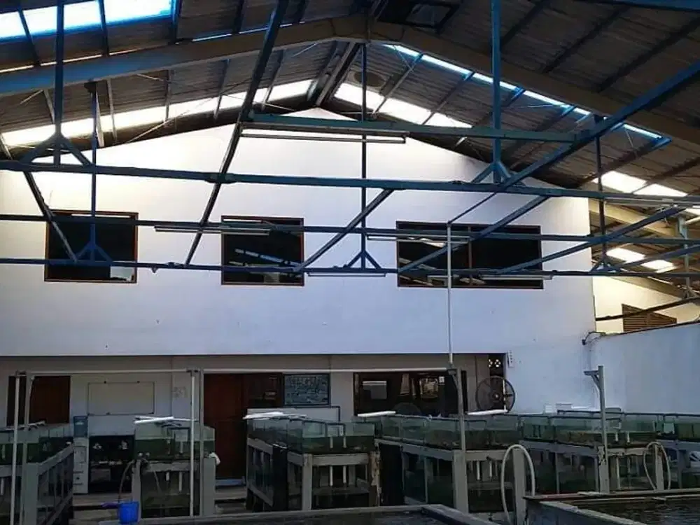 Tanah Bonus Gudang Siap Pakai di Kalideres - Jakarta Barat