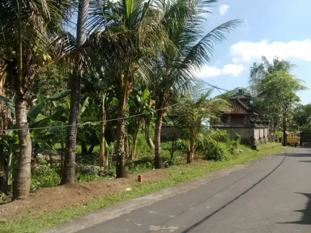 Strategic Land in Desa Wisata Kaba-Kaba For Sale