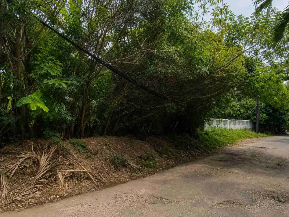 Tanah siap bangun