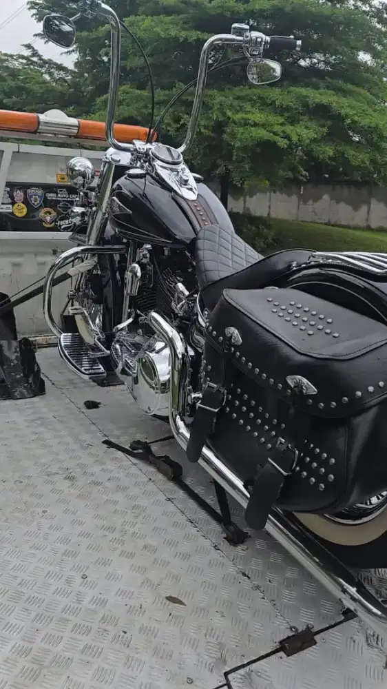 Harley Davidson Softail Classic 2010 FP