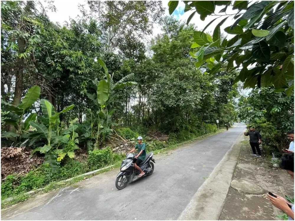 Tanah Dijual Yogyakarta di Tirtomartani Dekat JL. Jogja-Solo