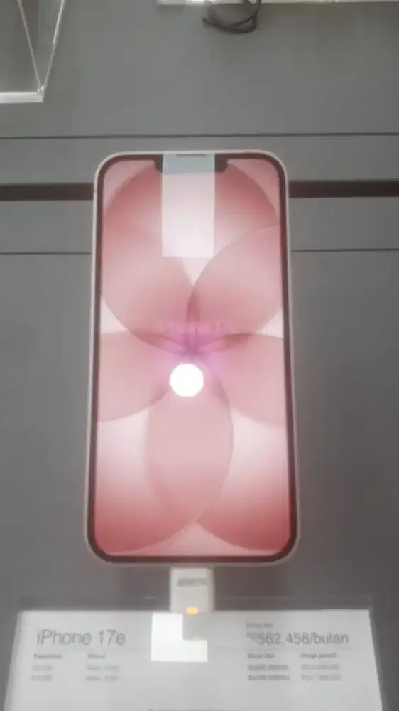 iPhone 17e 256 GB