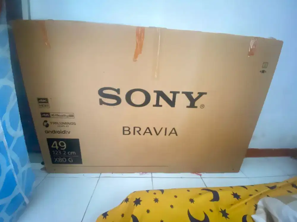 Sony BRAVIA 49 inci
