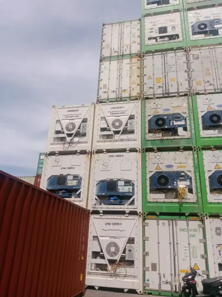 SALE UNIT REEFER CONTAINER 40FT