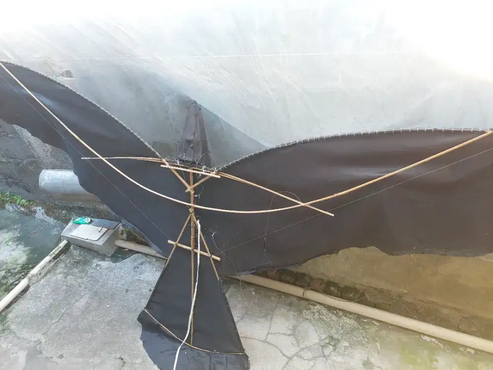Layangan burung kain hitam