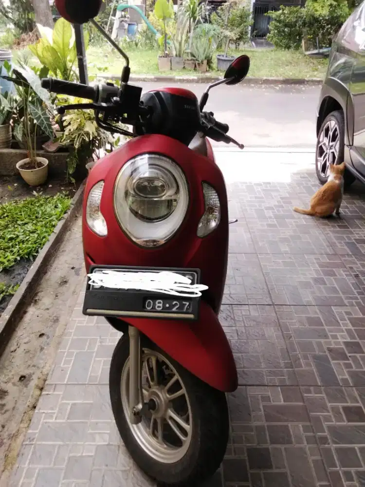 Motor scoopy tahun 2022 pajak mati dari awal