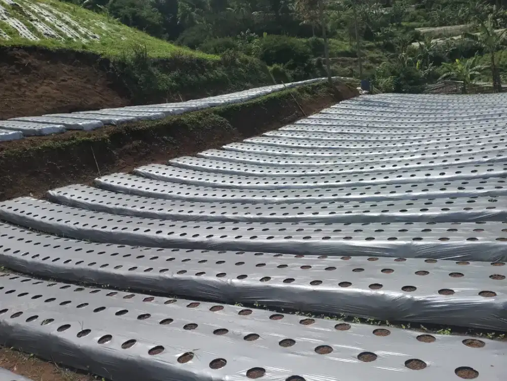 Tanah Pinggir jalan Di jual