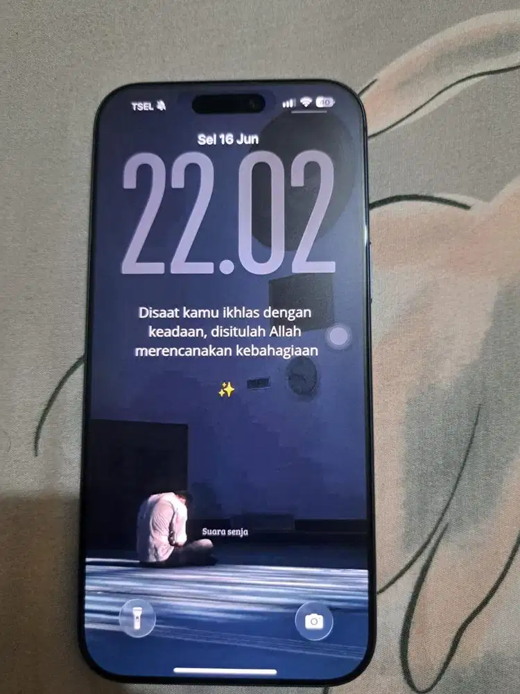 iphone 17 pro max 256gb ibox