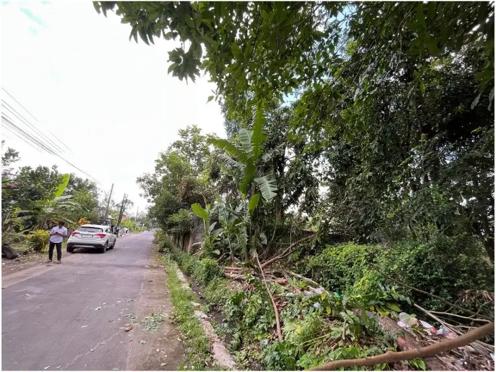 Jual Tanah Yogyakarta di Kalasan Dekat Candi Kedulan