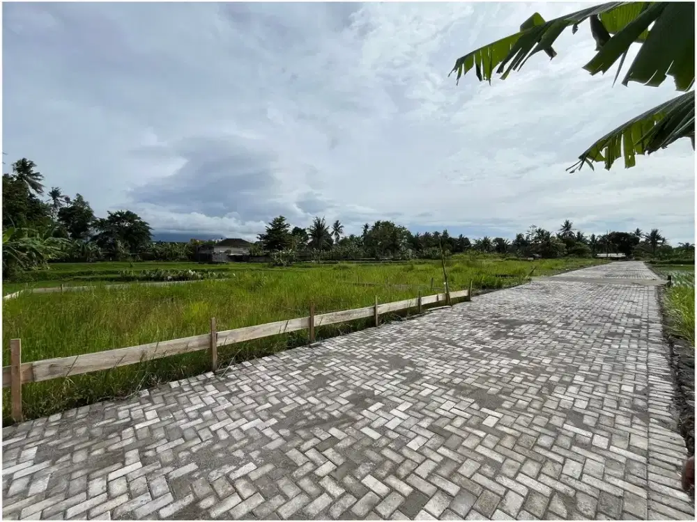 Jual Tanah Yogyakarta di Pakem Dekat PonPes Pandanaran