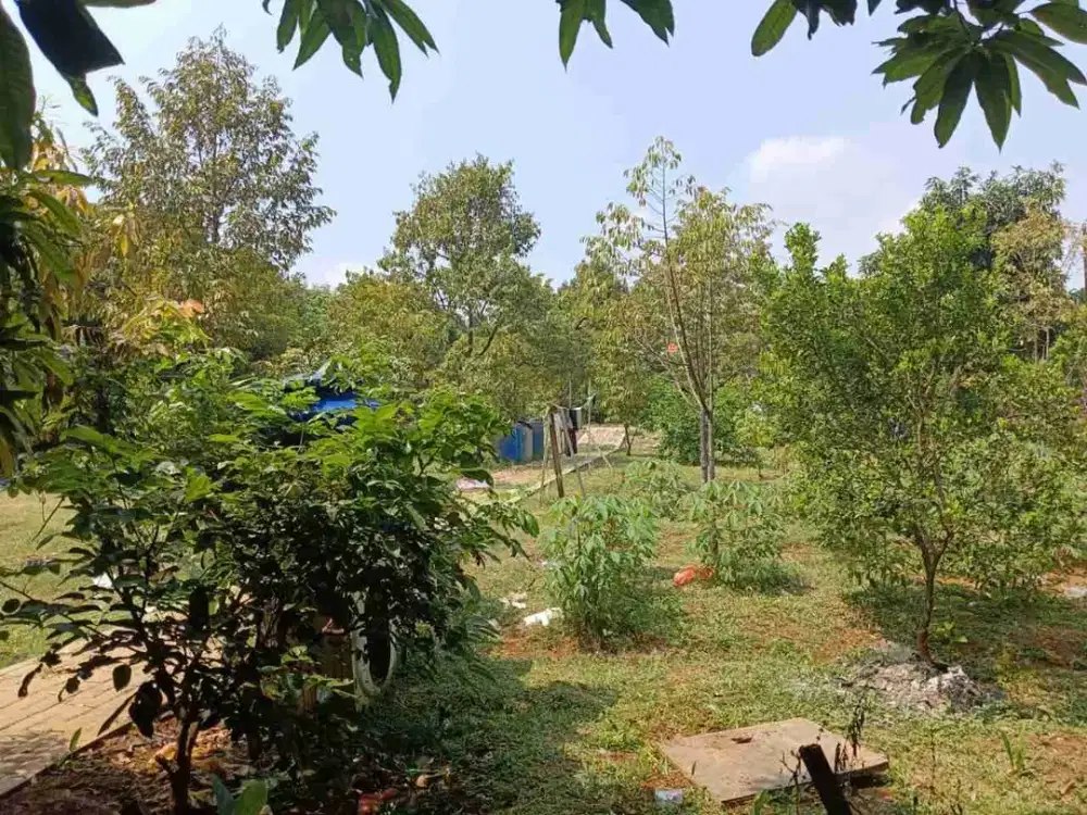 Dijual Kavling Lokasi Strategis Cibubur Dekat Pondok Kemangi Bisa Nego