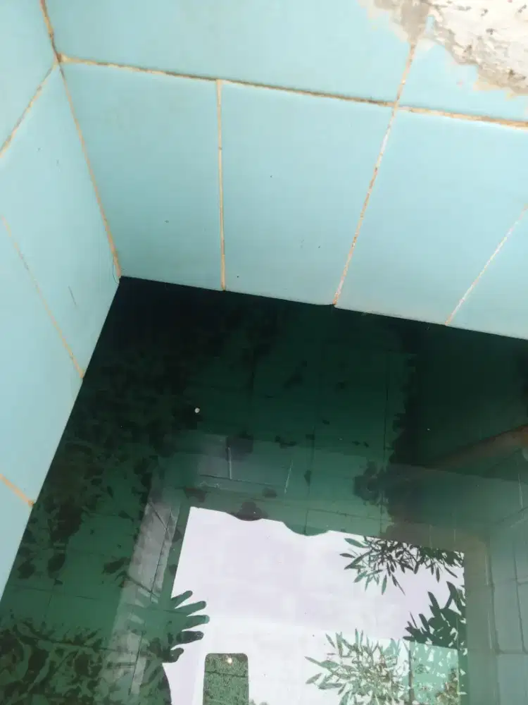Kuras tandon Grease trap sby sda murah