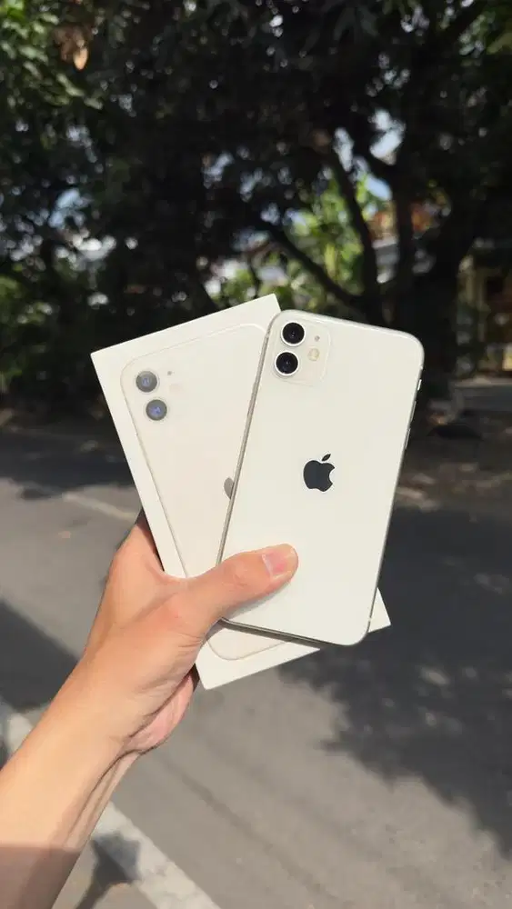 Iphone 11  Ibox