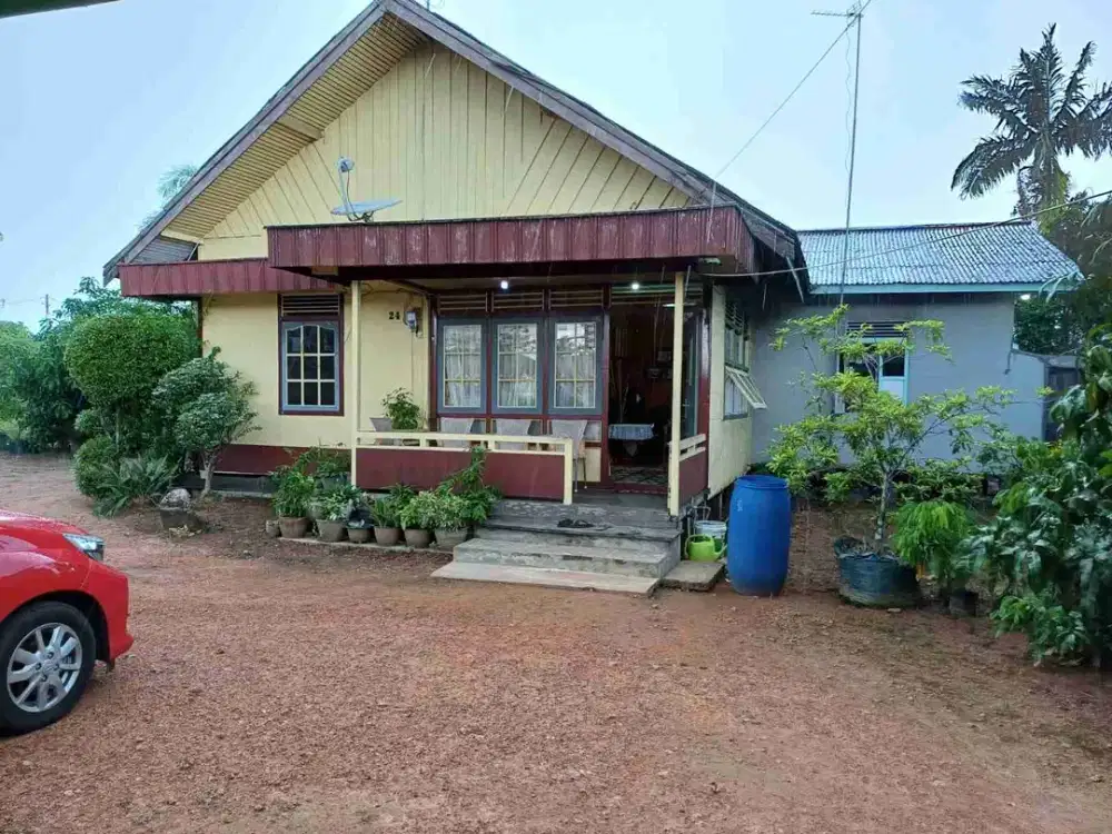 Dijual rumah dan tanah luas siap huni berlokasi strategis dekat sekolah dan perumahan daun hijau di jl wonoyoso