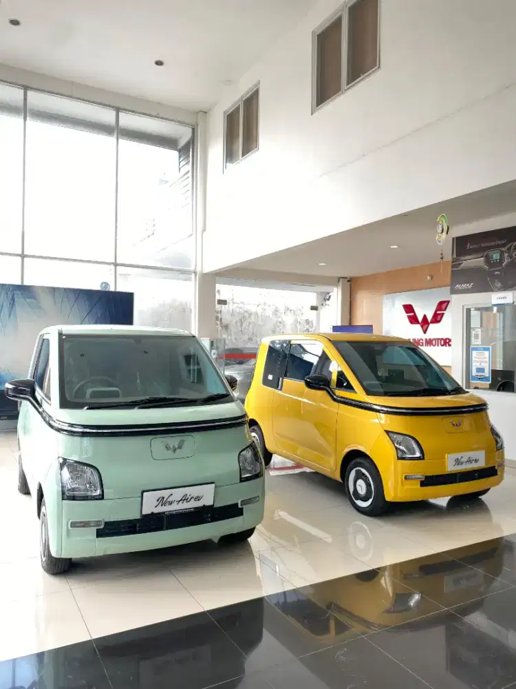 New air ev lite 300