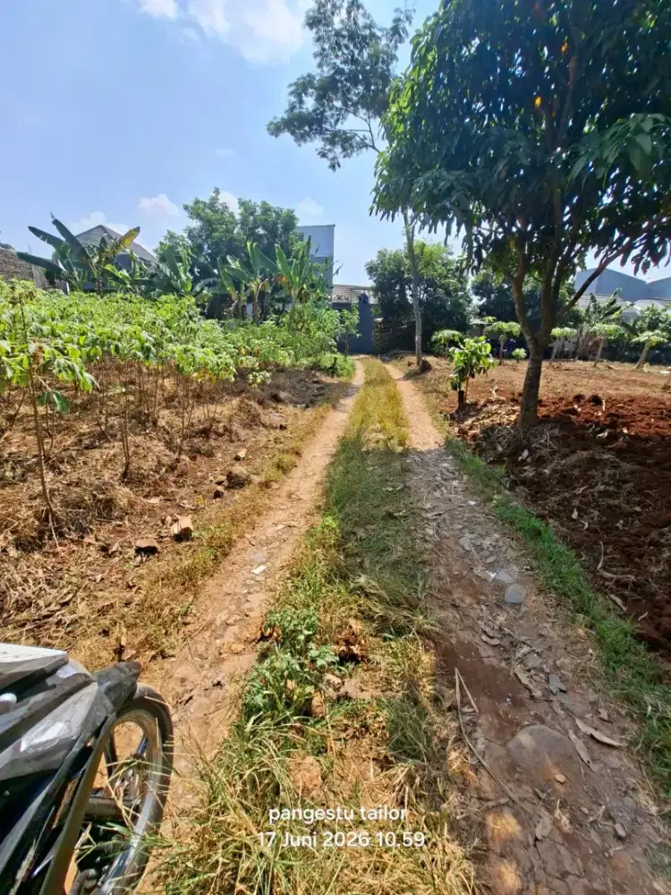 TANAH BULUSAN SELATAN UNDIP TEMBALANG