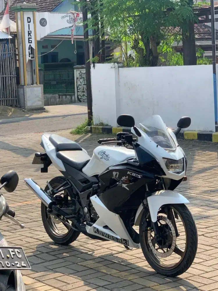 Ninja rr 2013 Se