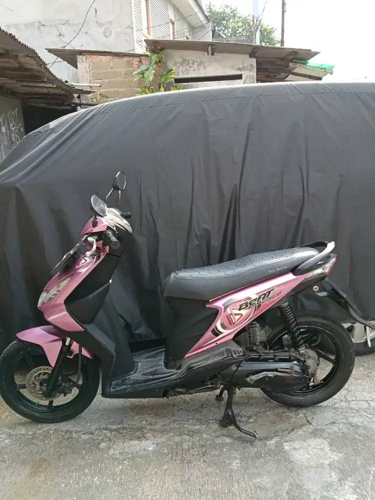 Beat karbu tahun 2008