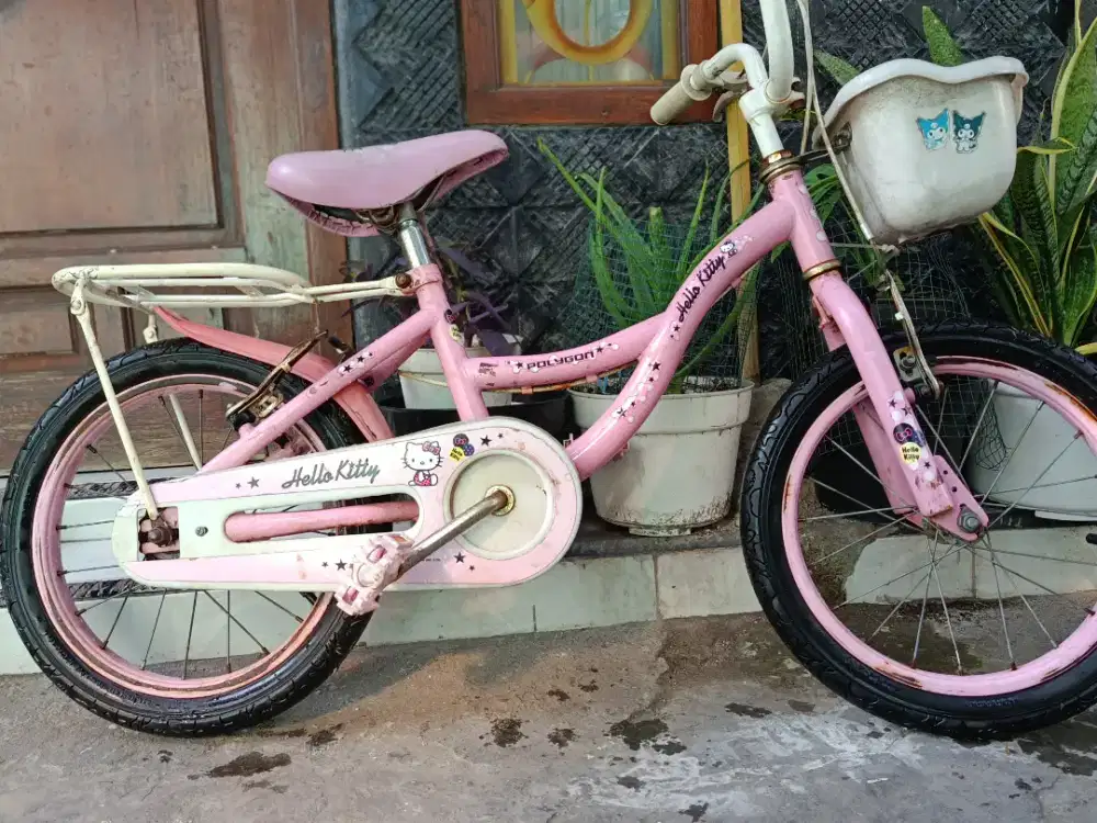 Sepeda anak Polygon UK 16