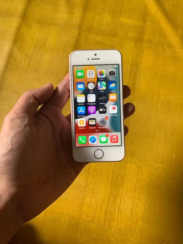 Iphone SE 1st generation