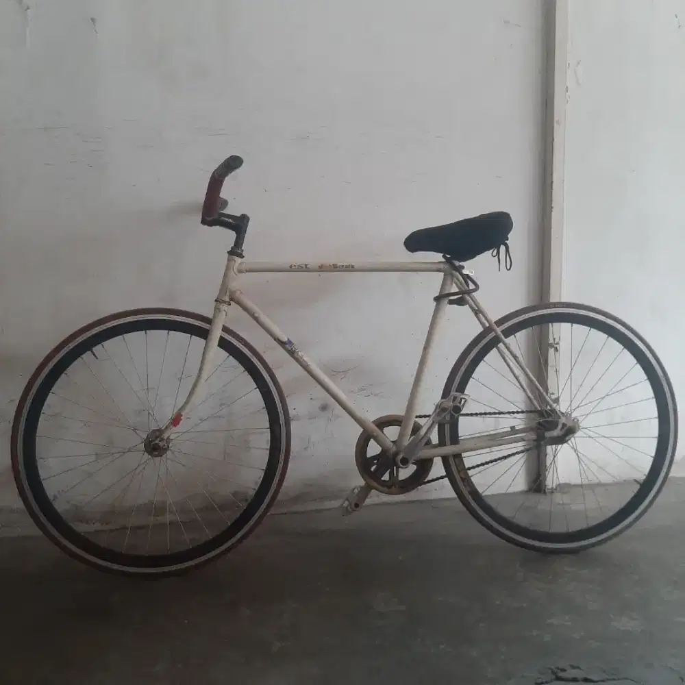 Jual Fixie Torpedo