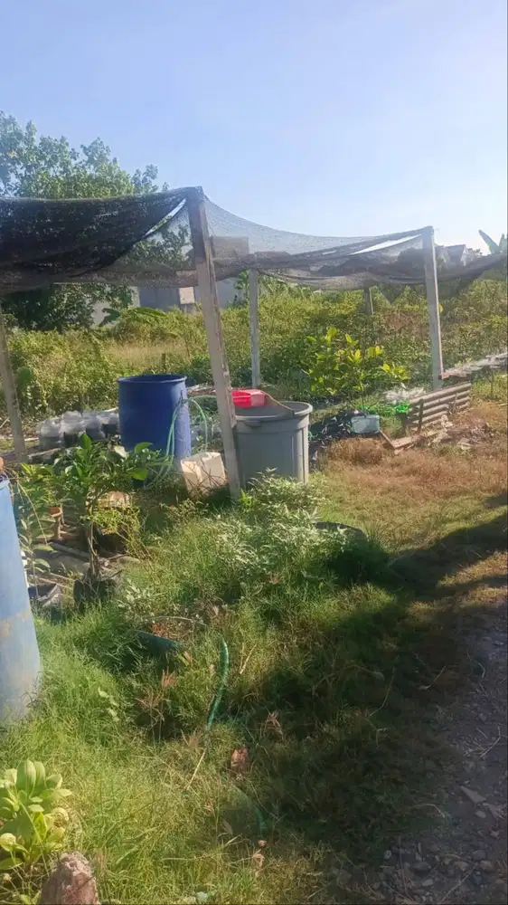 jual tanah lokasi strategis
