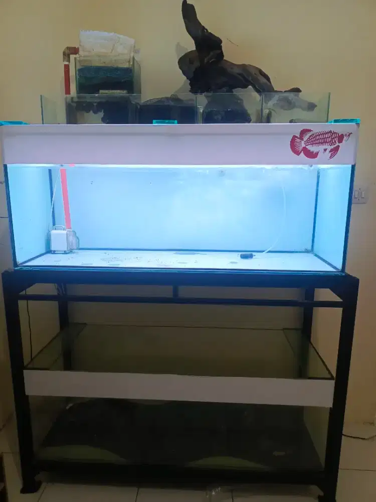 Aquarium dan rak plus top filter 120cm